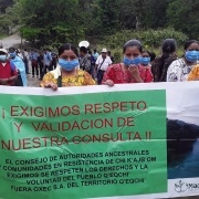 Madreselva. Santa María Cahabón